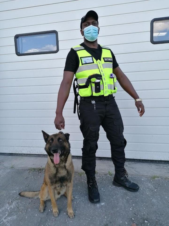 Maître chien Île-de-France