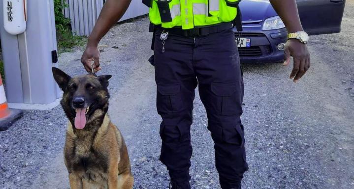 Gardiennage et surveillance Île-de-France