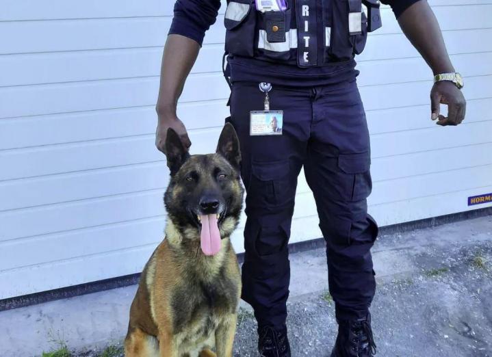 Gardiennage et surveillance Île-de-France