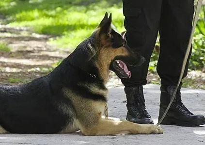 Gardiennage et surveillance Île-de-France